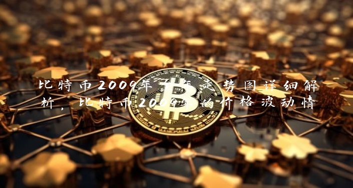 比特币2009年全年走势图详细解析，比特币2009年的价格波动情况