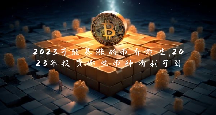 2023可能暴涨的币有哪些,2023年投资哪些币种有利可图