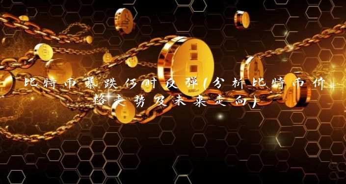 比特币暴跌何时反弹（分析比特币价格走势及未来走向）