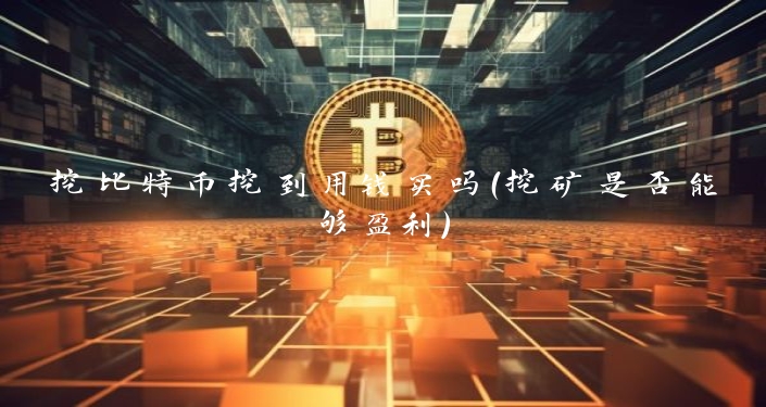 挖比特币挖到用钱买吗（挖矿是否能够盈利）