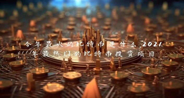 今年最火的比特币是什么,2021年最热门的比特币投资项目
