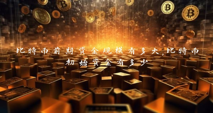 比特币前期资金规模有多大,比特币初始资金有多少