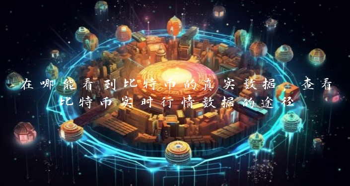 在哪能看到比特币的真实数据，查看比特币实时行情数据的途径