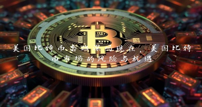 美国比特币套路深吗现在，美国比特币市场的风险与机遇