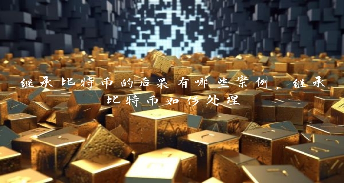 继承比特币的后果有哪些案例，继承比特币如何处理