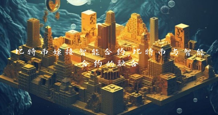 比特币嫁接智能合约,比特币与智能合约的融合