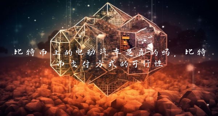 比特币上的电动汽车是真的吗，比特币支付方式的可行性