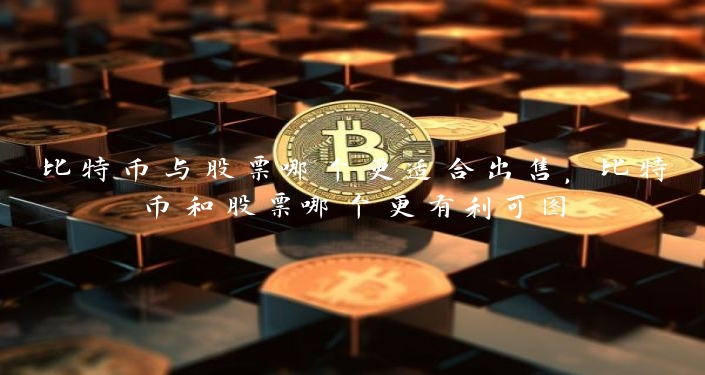比特币与股票哪个更适合出售，比特币和股票哪个更有利可图