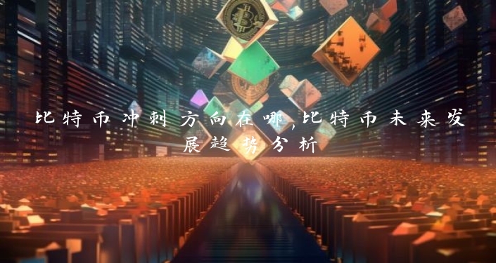 比特币冲刺方向在哪,比特币未来发展趋势分析