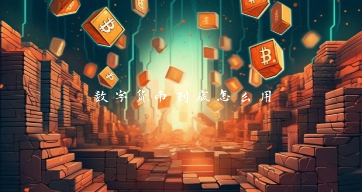 数字货币到底怎么用